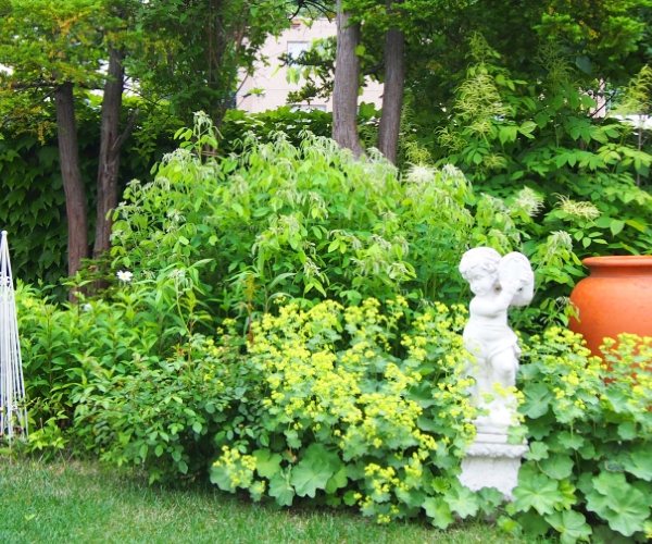 菜園・花壇など植物を育てる場所