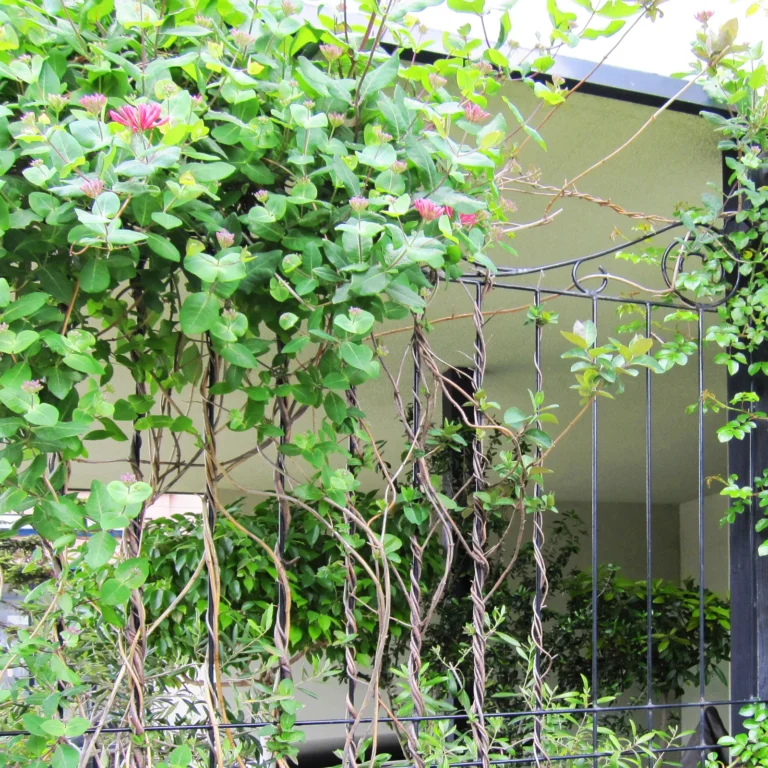 アイアン