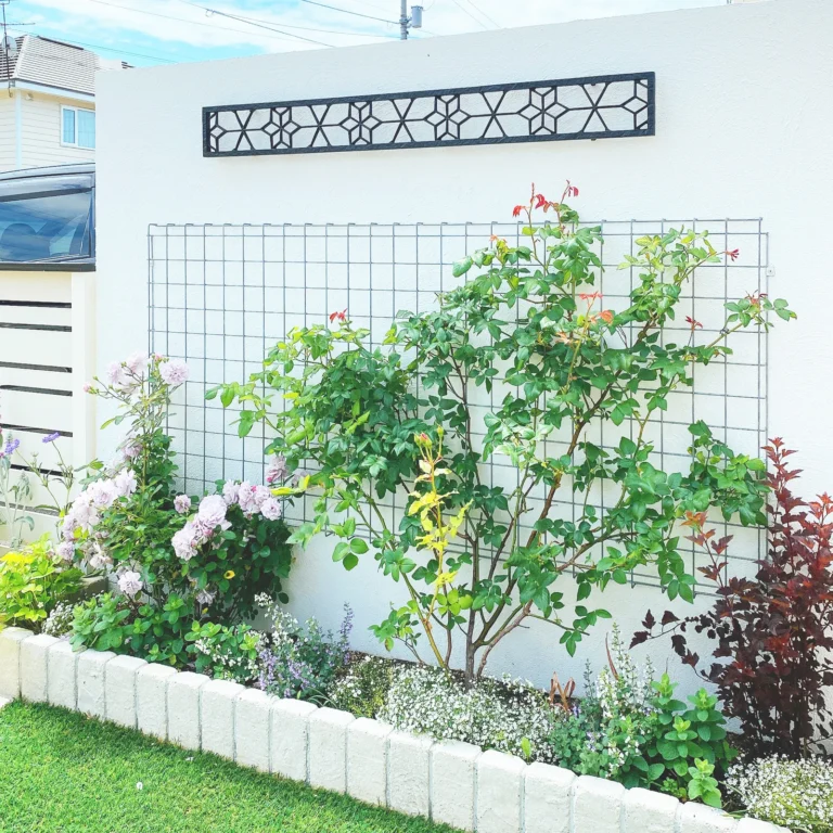 菜園・植栽スペース