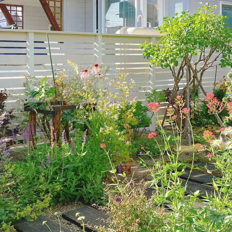 菜園・植栽スペース