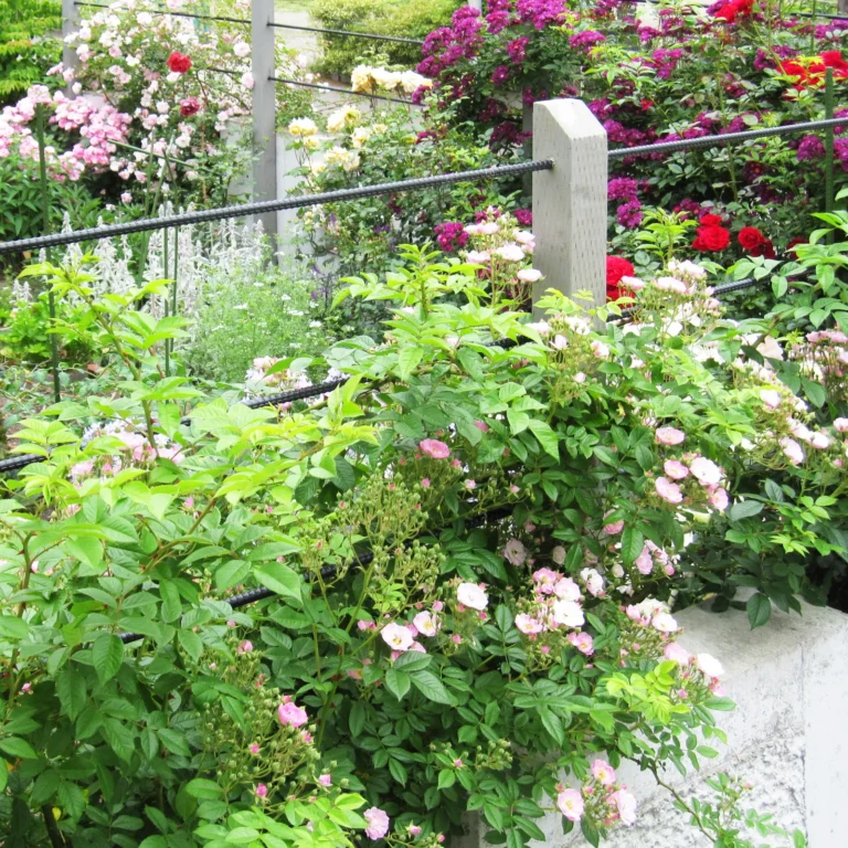 アイアン