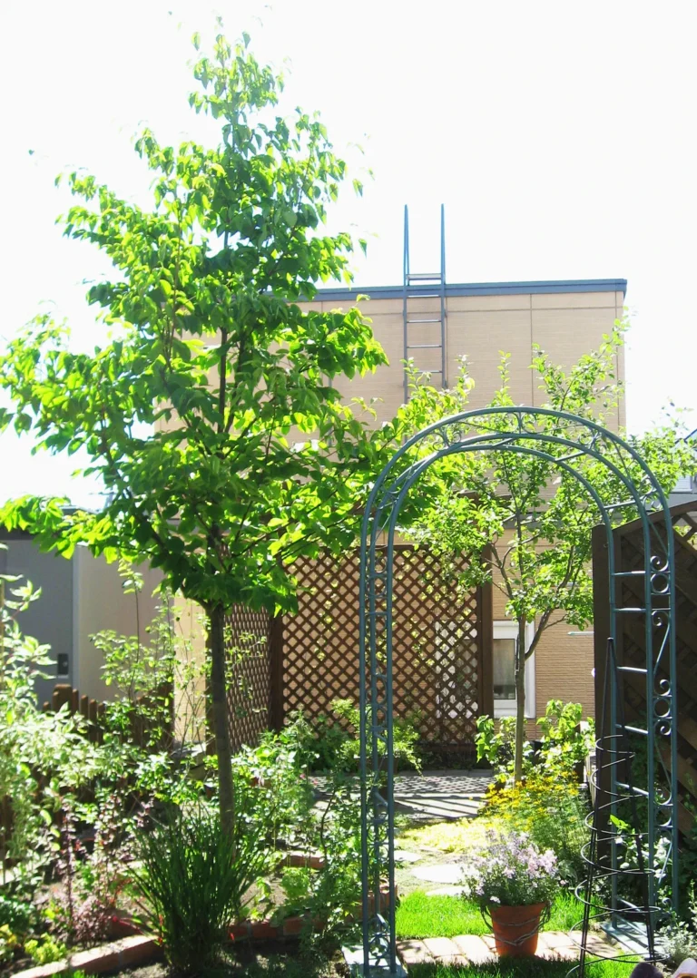 シンボルツリー・低木
